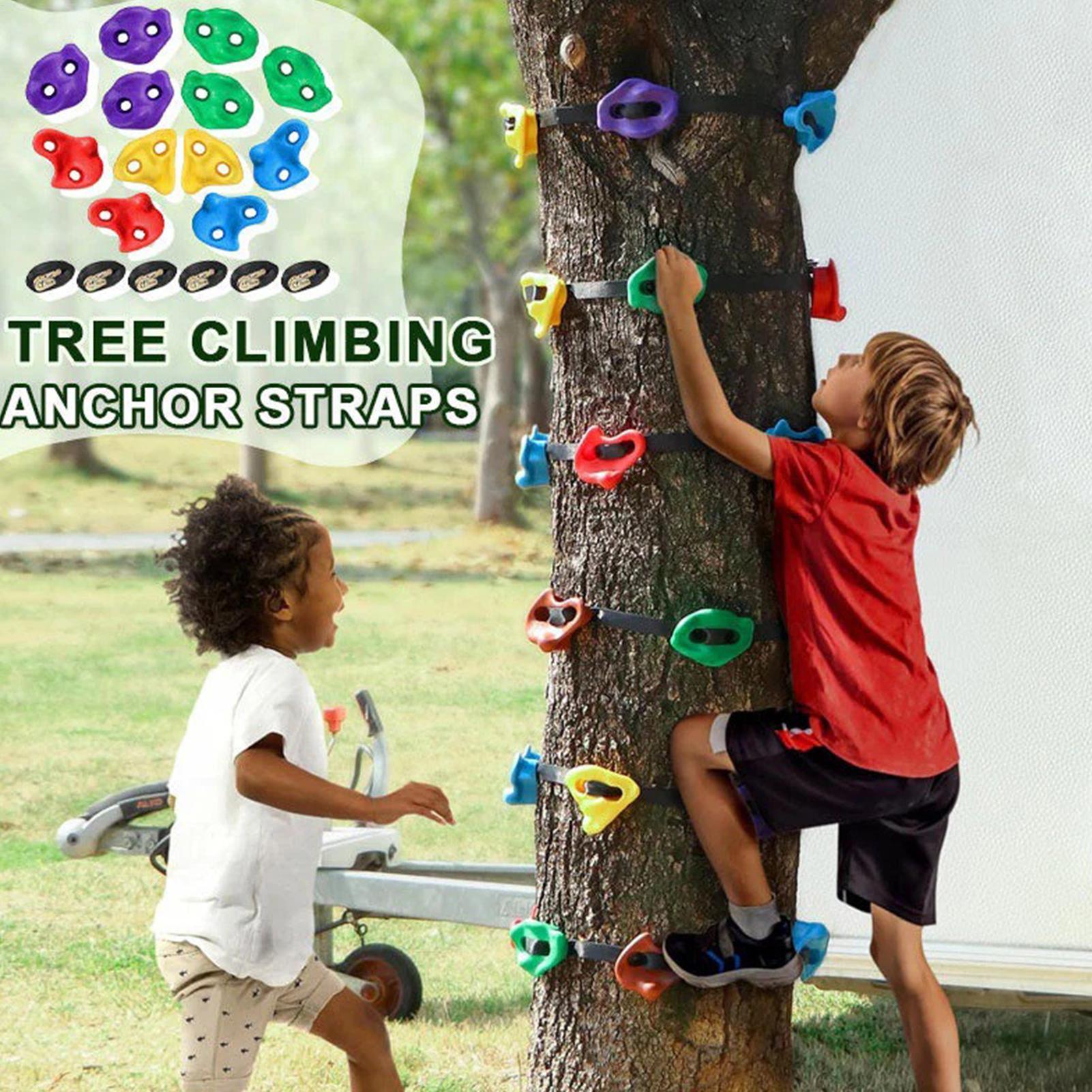 Attrezzatura per Arrampicata s - Outdoor Adventure Store recensione e prezzo