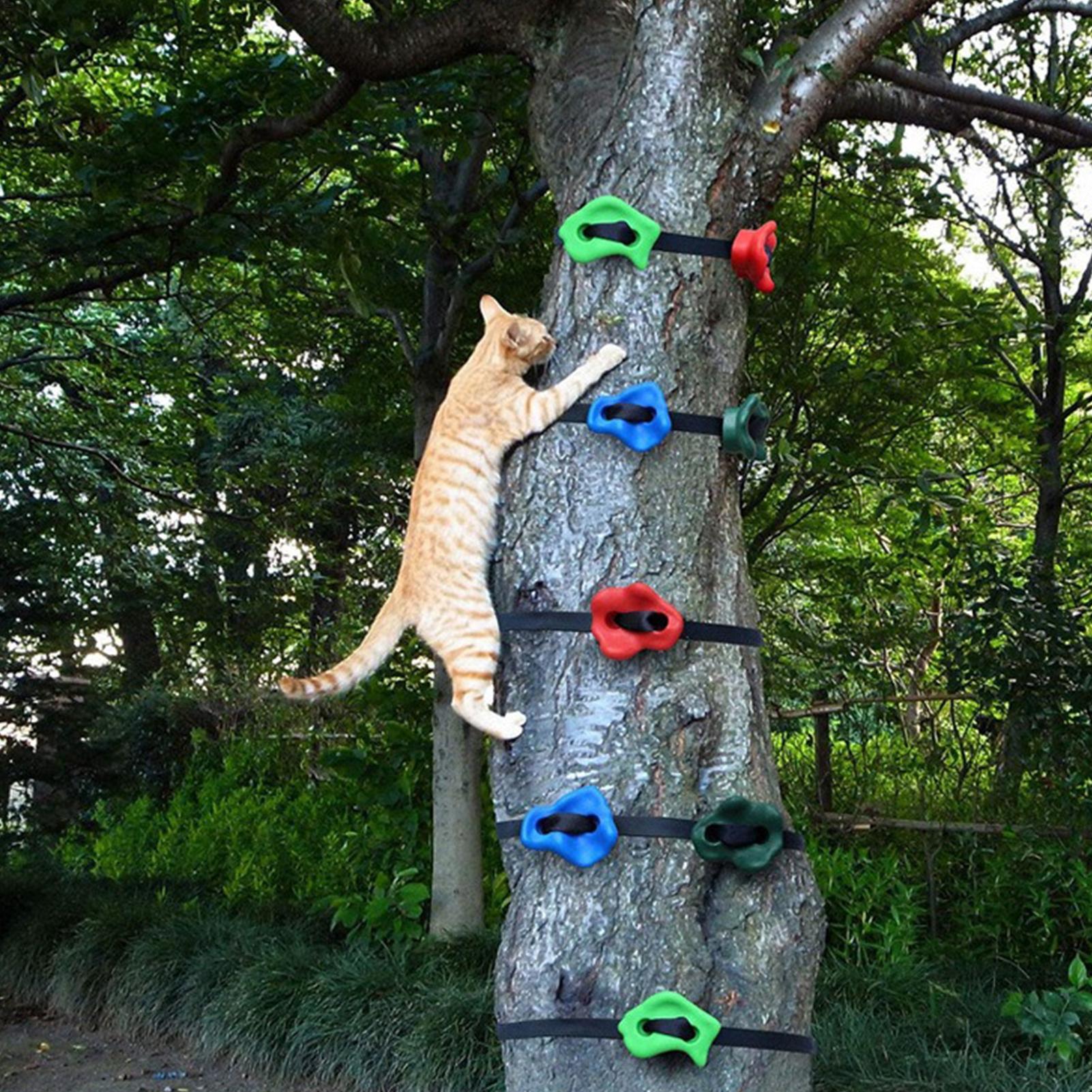 Attrezzatura per Arrampicata s - Outdoor Adventure Store recensione e prezzo