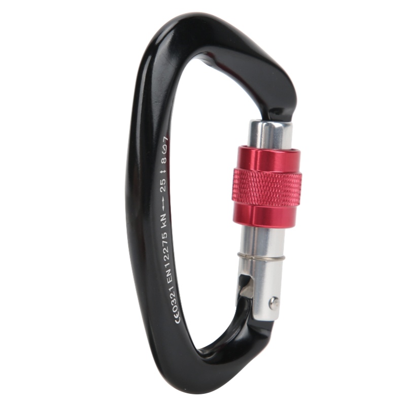 Moschettoni D a bloccaggio per - Carabiner Locking D recensione e prezzo